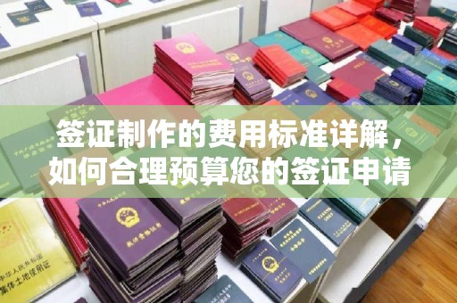 华宁签证制作的费用标准详解，如何合理预算您的签证申请成本